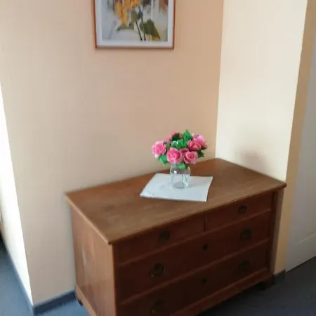 Apartament Cesky Dvur Mariańskie Łaźnie