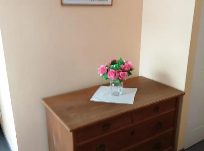 Apartament Cesky Dvur Mariańskie Łaźnie